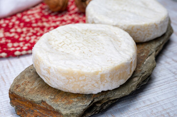 Fototapeta na wymiar Cheese collection, fresh white soft cow cheese with mold from Swiss