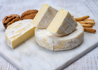 Cheese collection, fresh white soft cow cheese with mold from Swiss