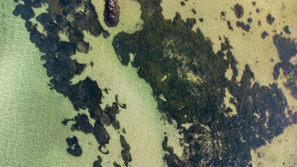 Luftaufnahme vom klarem Meer mit Steinen und Seegras am Grund