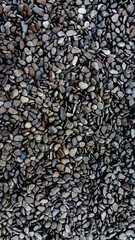 Street covered pebbles on sea coast. Rough uneven little bit fraction grunge marble terrace pathway. Summer smooth washed rustic stone. Scratched shabby grungy granite old rock for 3d seaside design
