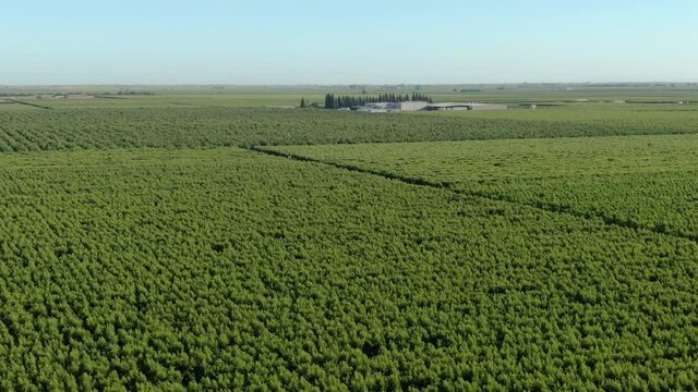 San Joaquin Valley Agriculture Aerial Shot Fresno Rotate L California USA