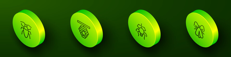 Set Isometric line Cockroach, Hive for bees, Spider and Clothes moth icon. Vector