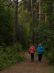 walking in the woods