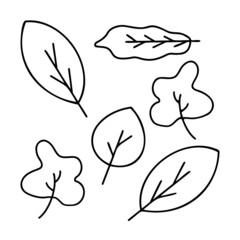 leaves. Vector