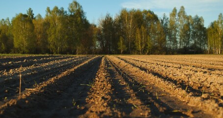Closeup soil, on a green trees background in spring.  Camera moves close to the ground in a plowed farm field. Agriculture business concept. Low angle. Slow motion. © Valua Vitaly