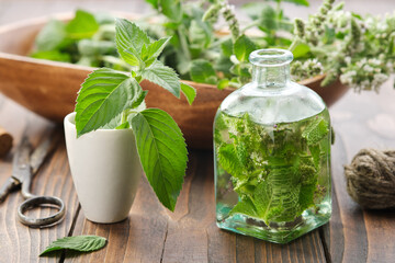 Bottle of infusion or oil made from mint leaves and blossom peppermint. Mortar of fresh spearmint leaves. Wooden bowl of Mentha piperita medinal plants on background. - obrazy, fototapety, plakaty
