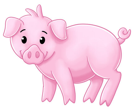 Pig cartoon on white background
