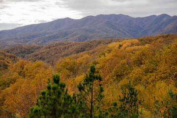 autumn in the mountains