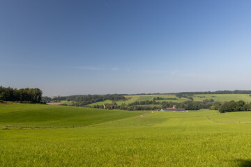 Wide view of flowing grassland