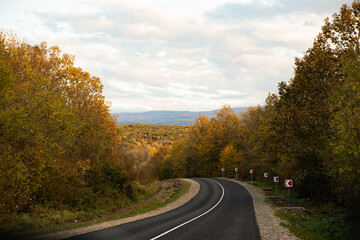 Fototapeta premium road in autumn forest