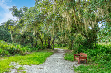Fototapeta na wymiar Bench on walking trail in Lemon Bay Park and Environmental Center in Englewood on the Gulf Coast of Florida USA
