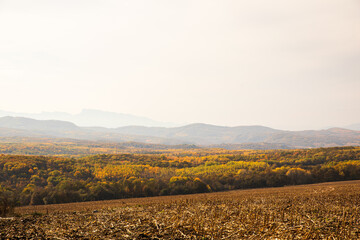 autumn in the mountains