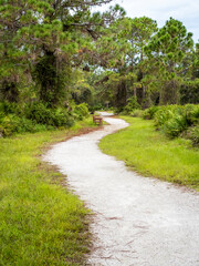 Fototapeta na wymiar Walking trail in Lemon Bay Park and Environmental Center in Englewood on the Gulf Coast of Florida USA