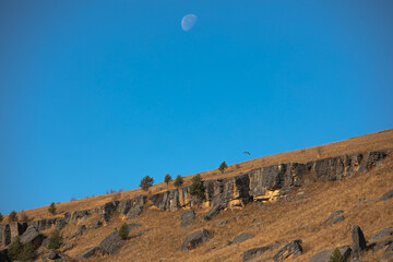 landscape with blue sky