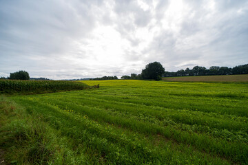 Fototapeta na wymiar Agricultural fields outside Maastricht, The Netherlands
