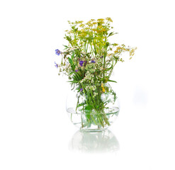 Beautiful colorful blooming wild flowers in a glass vase isolated on a white background.