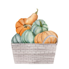 watercolor pumpkins in box, Halloween illustration set, harvest, Thanksgiving autumn design elements, fall, holiday clip art isolated on white background