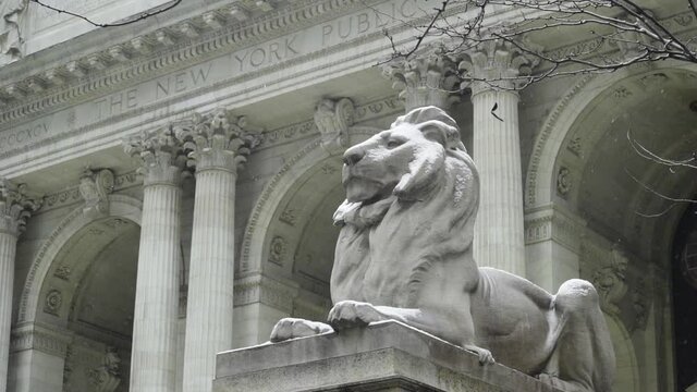 NEW YORK CITY, UNITED STATES - Feb 18, 2017: A low angle of The landmark lion statue at the entrance of the New York Public Library building in Midtown Manhattan, covered in winter snow
