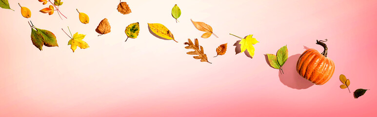 Autumn pumpkin with colorful leaves overhead view - flat lay