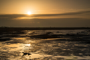Abendstimmung im Wattenmeer in gelbem Licht