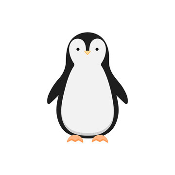 a picture of a penguin on a white isolated background. cute character black and white penguin, winter bird