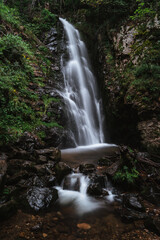 Fototapeta na wymiar todtnauer waterfalls of the black forest (Schwarzwald)