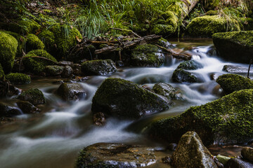 allerheiligen waterfalls of the black forest (Schwarzwald), Baden-Wuerttemberg, Germany