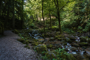 Fototapeta na wymiar path to the geroldsau waterfalls of the black forest (Schwarzwald), Baden-Wuerttemberg, Germany
