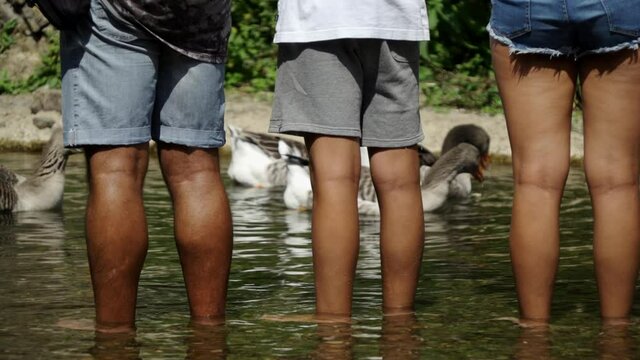 Patos con ni&ntilde;os
