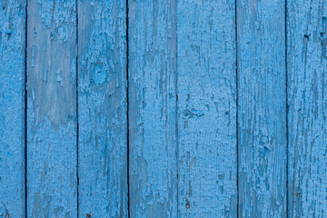 Boards of delicate blue shades. The texture of a wooden fence. Background, texture
