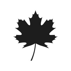 Maple leaf icon. Vector. Flat design.