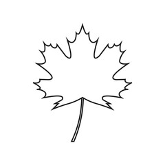 Maple leaf icon. Line style. Vector. 