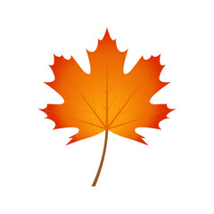 Maple leaf icon. Vector Illustration. Flat design.