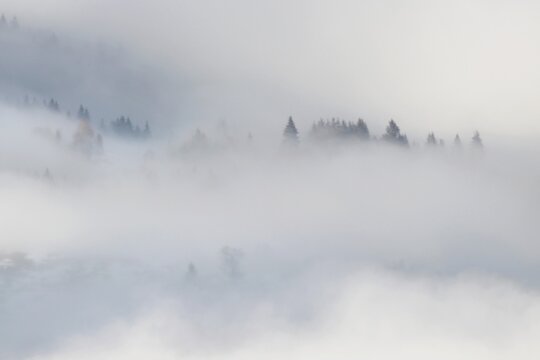fog in the mountains © Adrian Ioan Ciulea