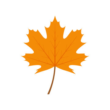 Yellow maple leaf icon. Vector Illustration. Flat design.