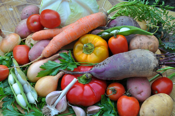 Vegetable borscht set