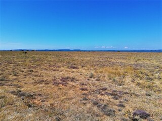 prairie sauvage &eacute;tang de de Berre