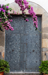 Flores de bungavilla colgando por delante de una puerta metálica