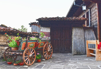 Obraz premium Small old colorful cart, covered with pots of flowers.