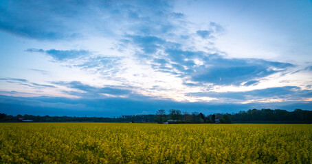 Obraz premium Field sky