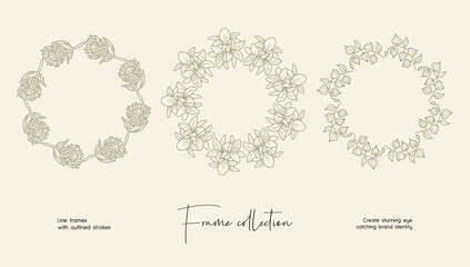 Line art illustration collection of decorative vector frames for branding or logo 