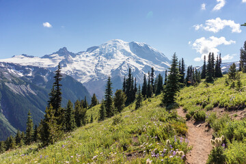 Mt Rainier National Park