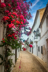 Fototapeta na wymiar Flowers hanging from the window in a picturesque narrow street with white houses in village of Altea. Altea is a mediterranean town in the Valencian community, Alicante, Spain