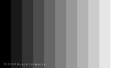 A signal background of a 10 Step Black to White testing.