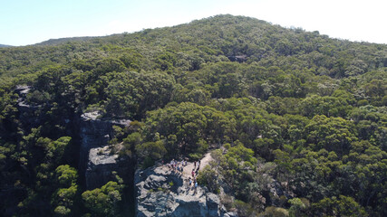 landscape with trees