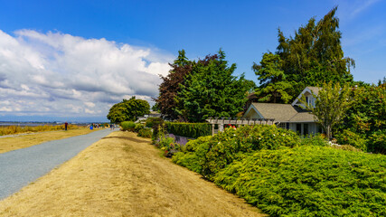 Parched grass at Crescent Beach, Surrey, BC after a long summer drought and multiple high temperature records