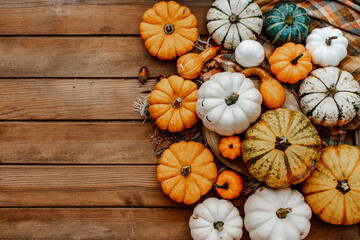 Autumn background with colorful pumpkins. Fall, Halloween and Thanksgiving concept.