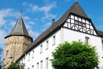 Fototapeta na wymiar Linz (Rhein), Burg