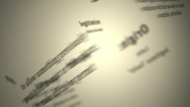 Definition: Legitimise