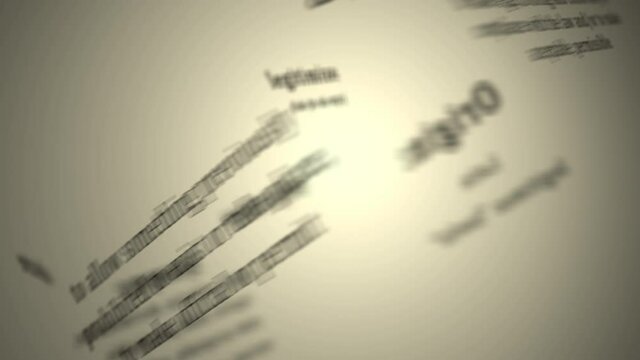 Definition: Legitimize